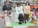 0211市川-1.jpg