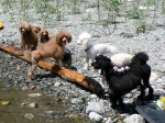 P1050269−１.jpg