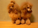 P1050916−１.jpg