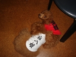 DSC00167-1.jpg