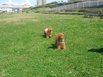 DSC02207-1.jpg
