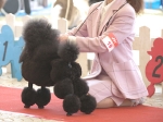 NPB_6419-s-1.jpg