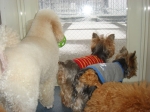 DSC00507-1.jpg