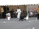 IMG_2085-s.jpg