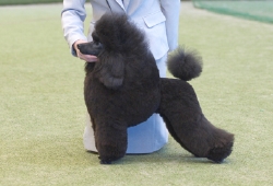 NPB_5999-s-1.jpg